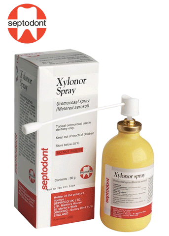 Xylonor spray anestésico tópico