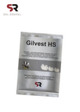 Investimento Gilvest HS